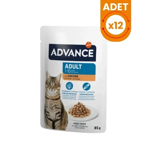 Advance Tavuklu Pouch Konserve Yetişkin Kedi Maması