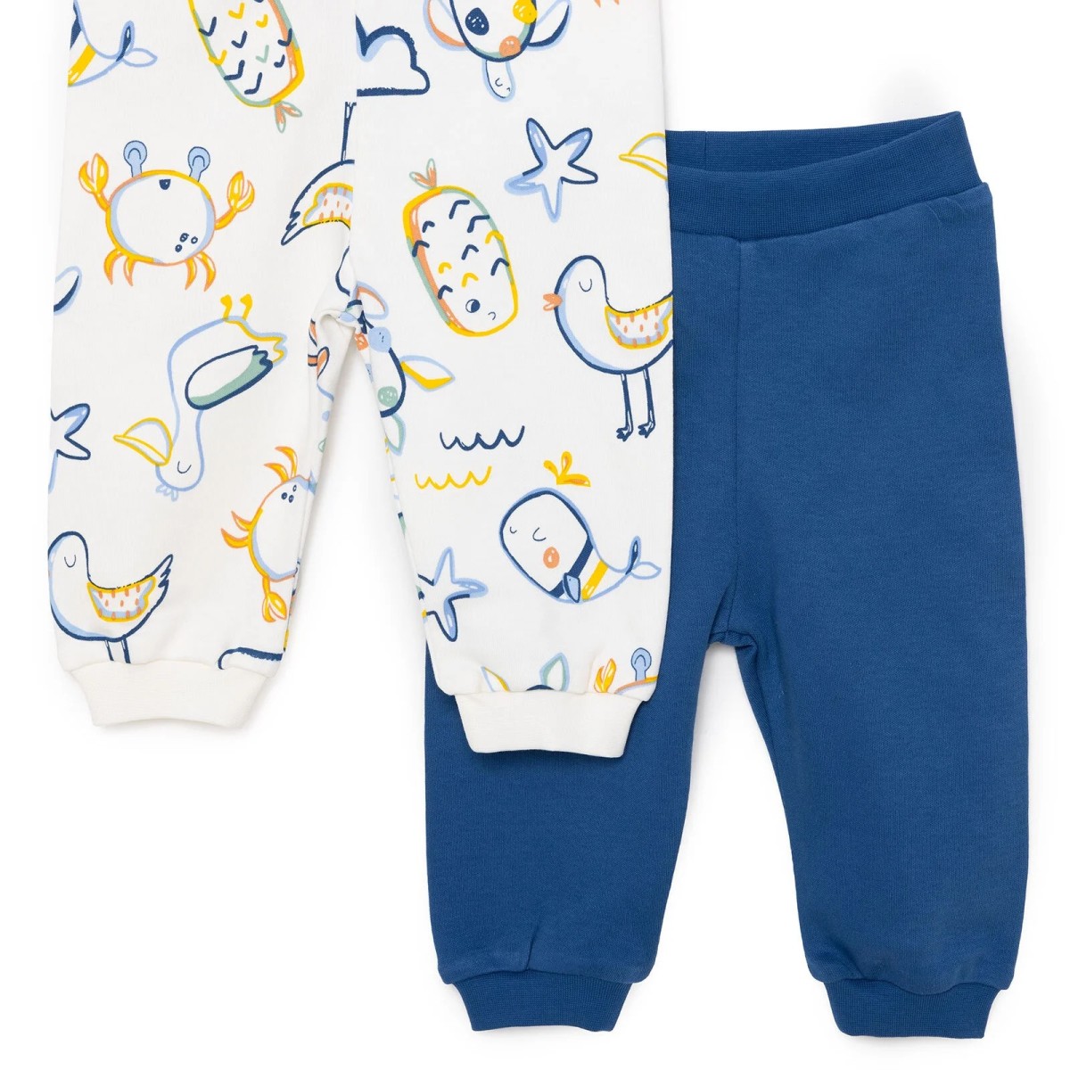 HelloBaby Basic Erkek Kaplumbağa Desenli 2li Patiksiz Alt Erkek Bebek